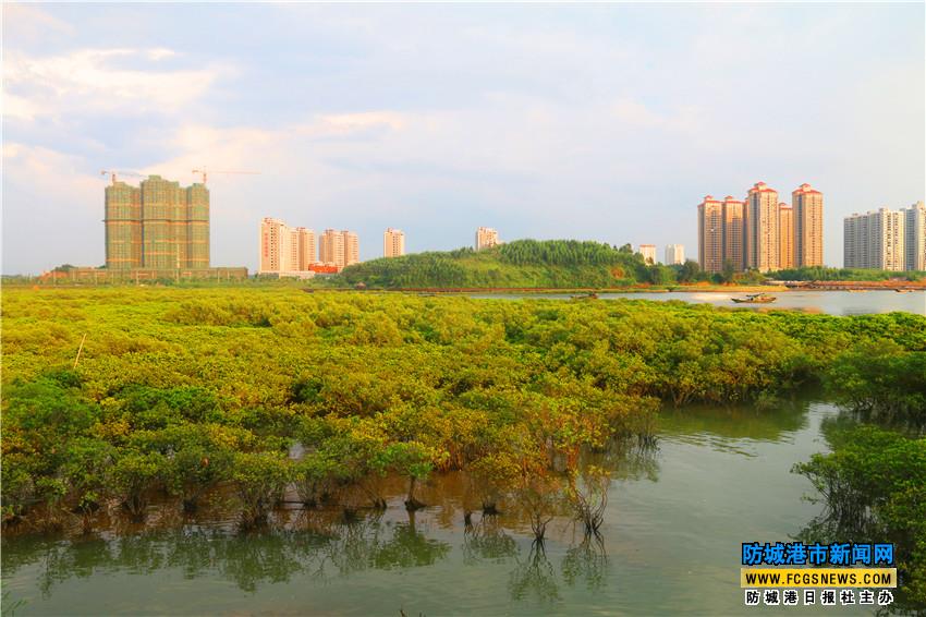 防城港西湾绿道沿途风景如画